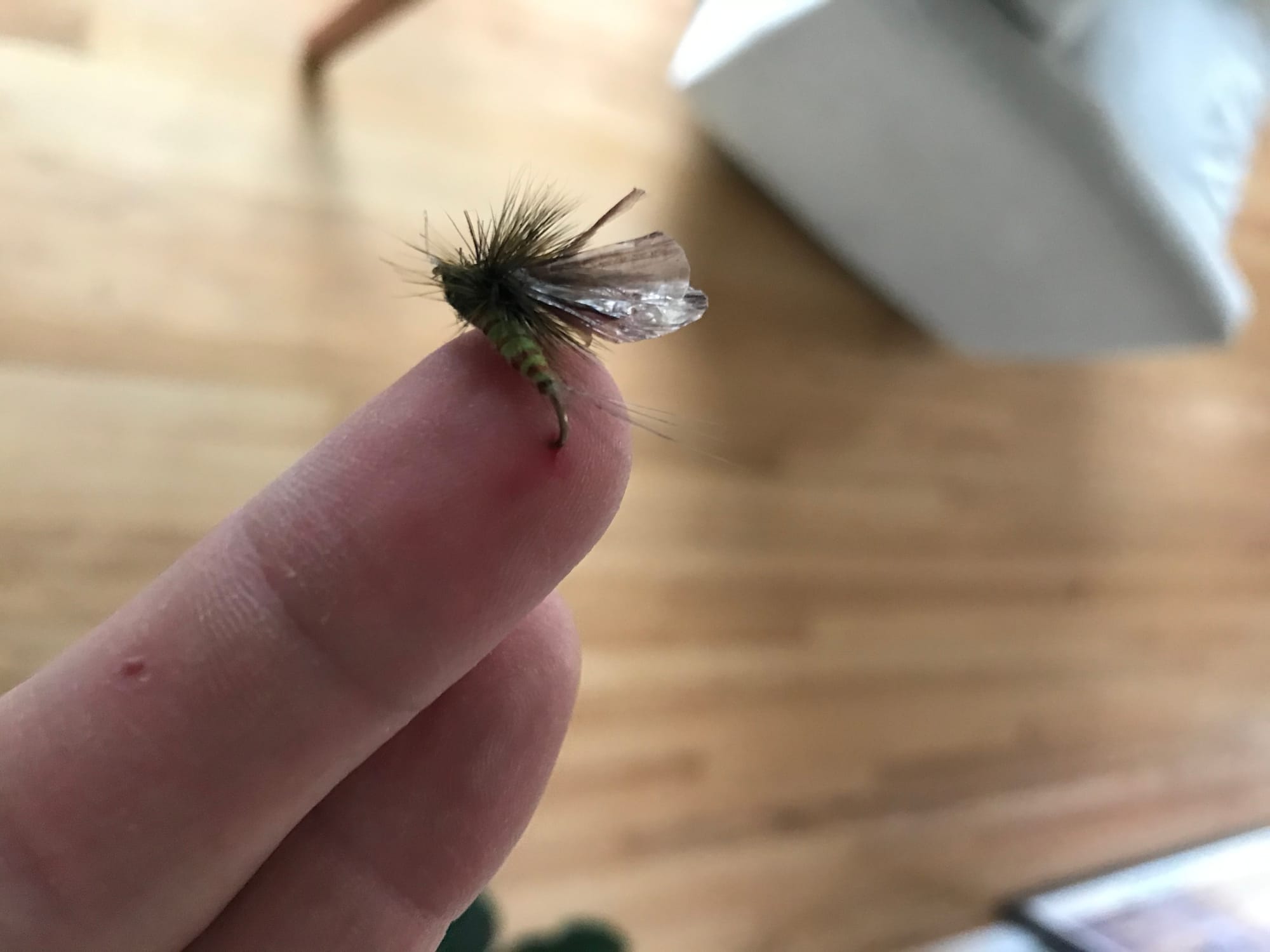 A green drake fly-fishing fly is impaled in someone's finger