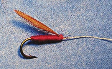 A single fishing fly with a red body and ginger wing
