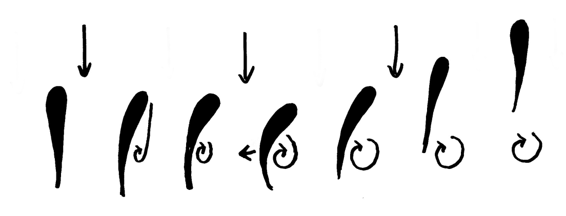 Diagram showing fish swimming sequence with arrows indicating vortex formation behind tail, demonstrating how fish use wake turbulence for efficient propulsion