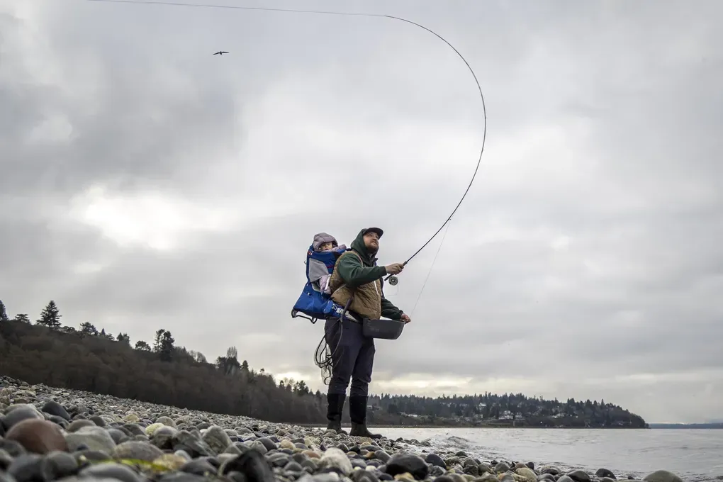 A man casts a fly rod on a rocky beach with a baby in a carrier on his back.