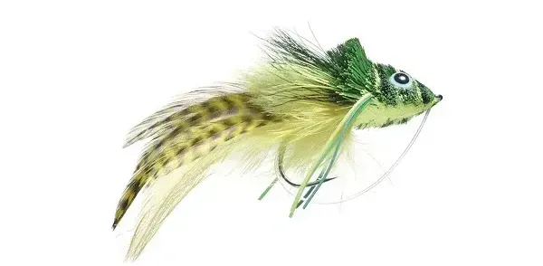 Umpqua Swimming Frog popper fly in green and yellow deer hair with painted eyes.