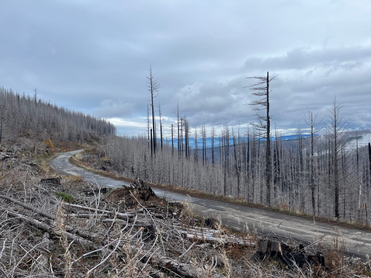 Forest fires and fly fishing