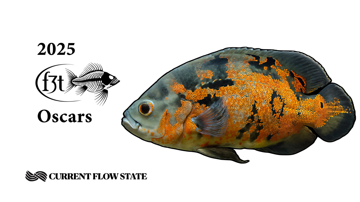 The Oscars: CFS' 2025 Fly Fishing Film Tour Awards