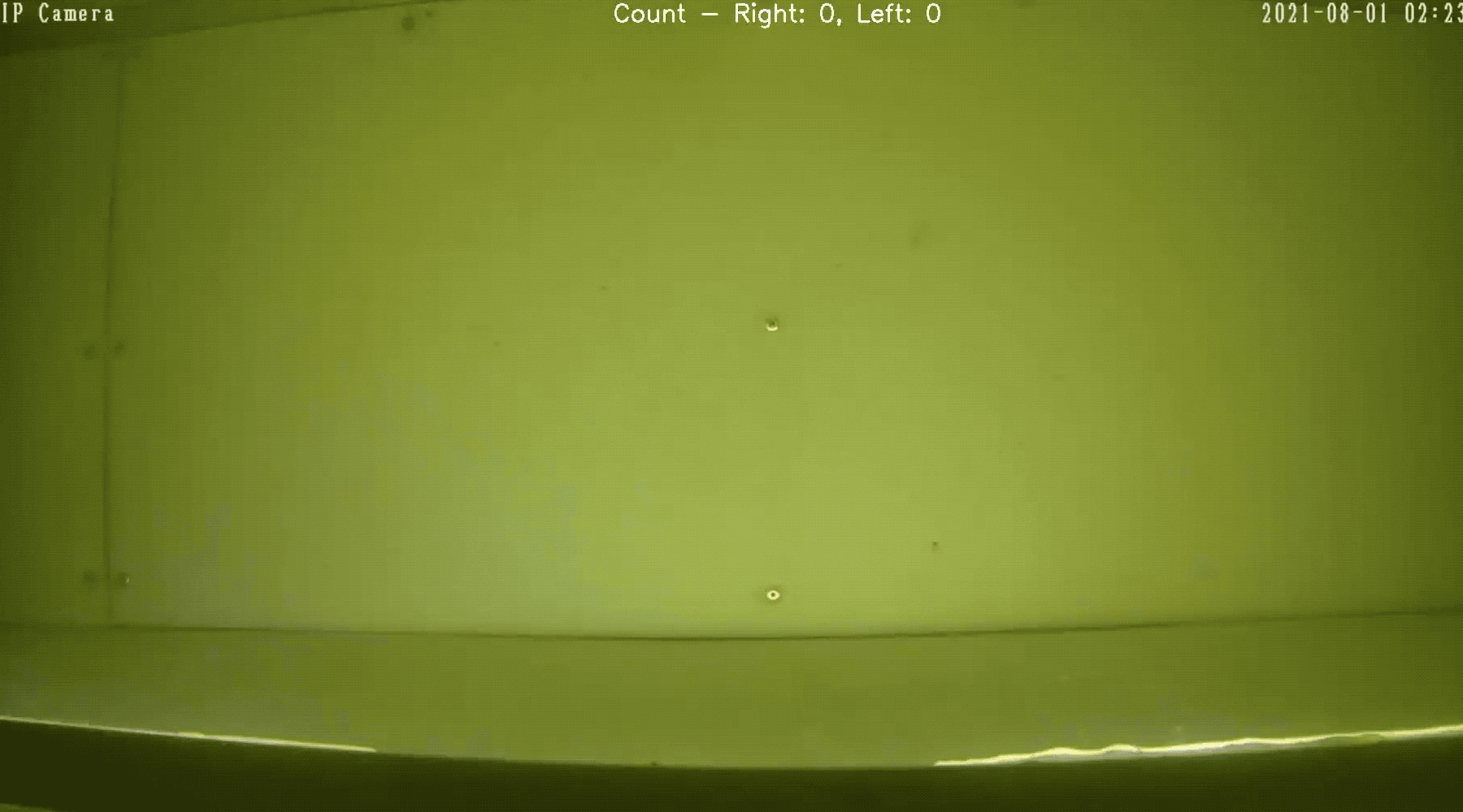 A salmon swims into a viewing tank and is tracked by a faint white computer-generated line and surrounded by a bounding box with its ID, species name, and confidence score percentage