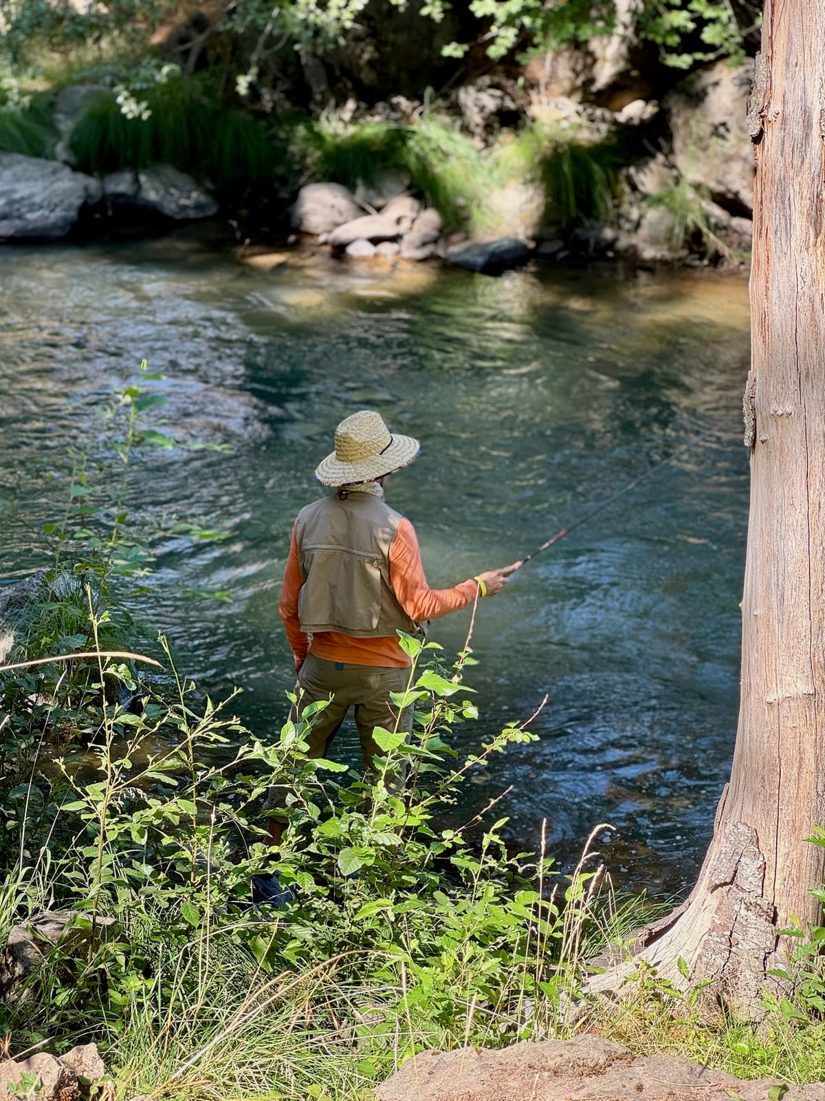 Seeing salmon, seeing snakes, and tying simple flies