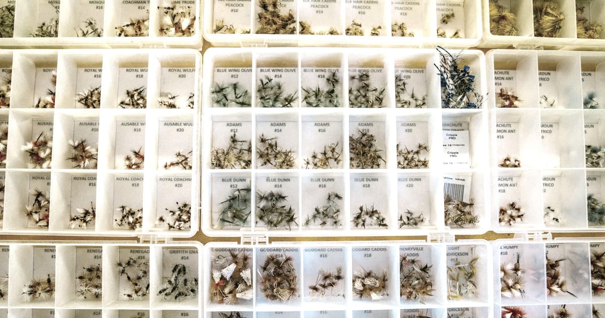 Tip Jar: Donate to support CFS