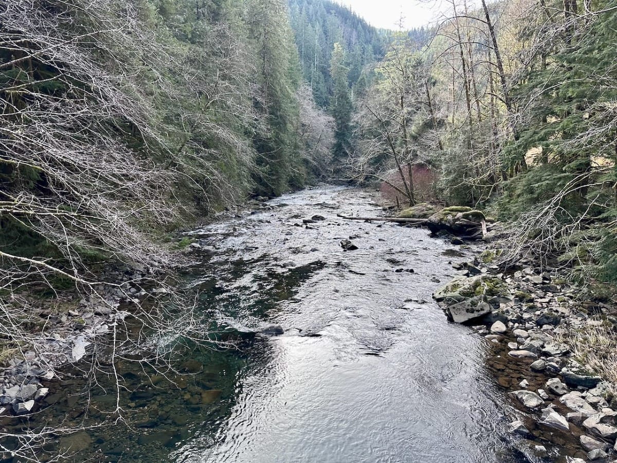 Pacific Northwest river with clear water flowing over rocks through forested canyon in winter