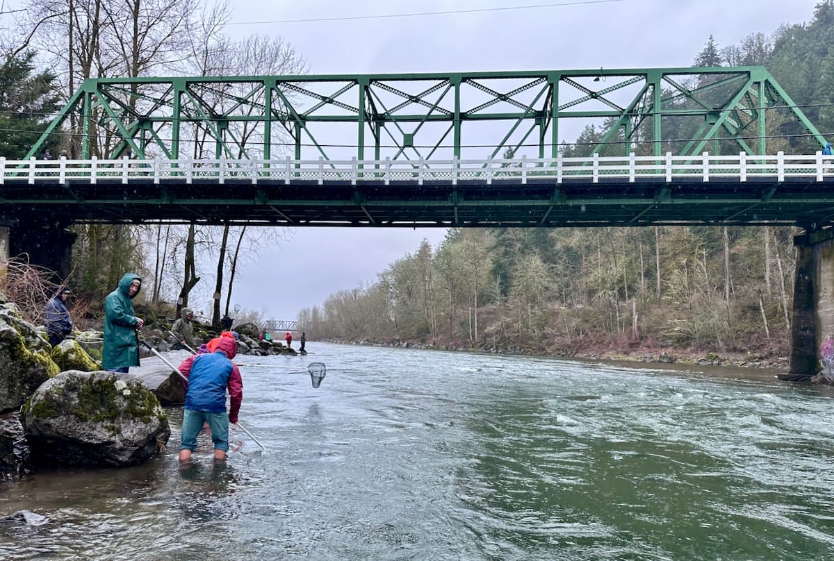 Anglers wading the Sandy River below the Stark Street bridge, dip-netting for smelt on a gray winter day.