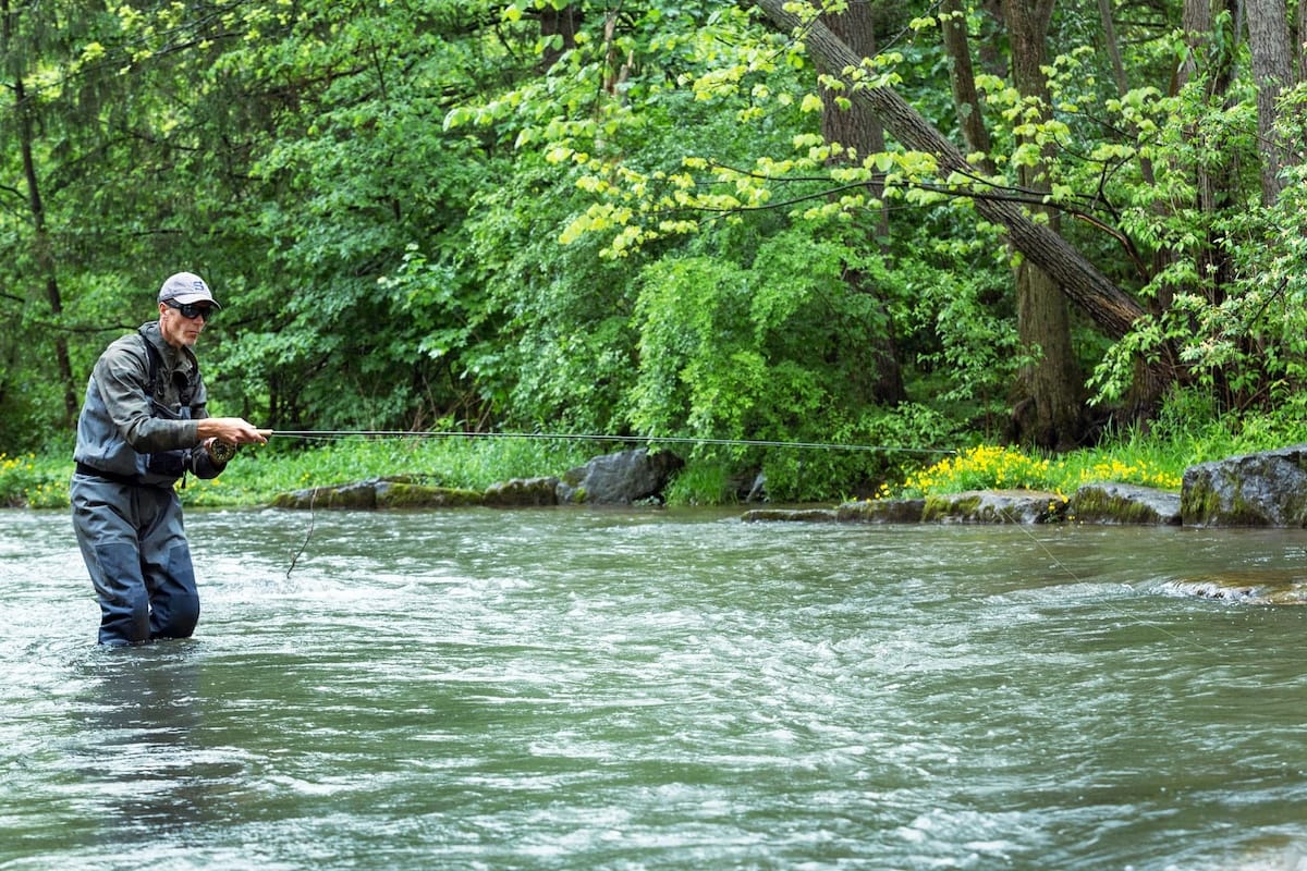 Angler George Daniel fishes on a bushy Pennsylvania trout stream