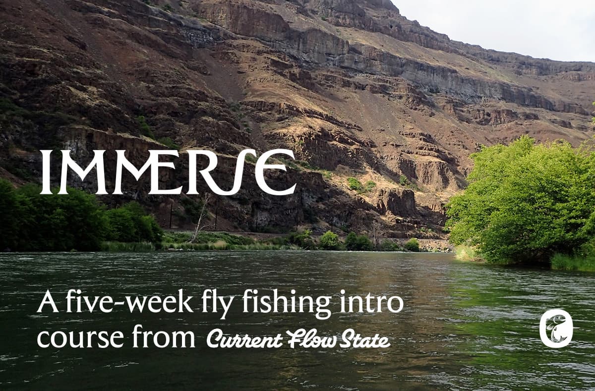 A steep canyon on the Deschutes river is the background image for type that states Immerse: A five-week fly fishing intro course from Current Flow State