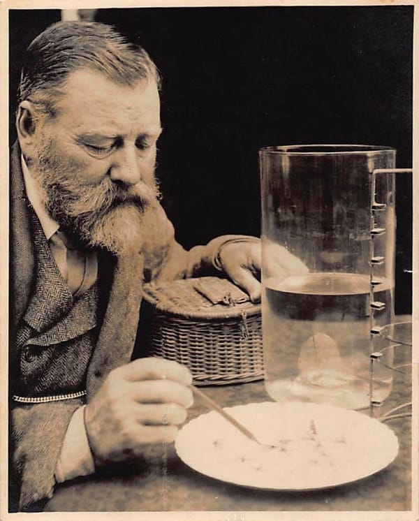 Icons: William James Lunn, River Keeper of the Test