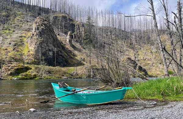 Fly fishing and problem solving