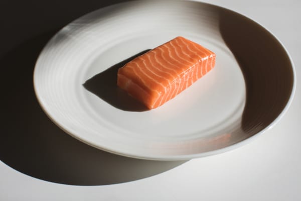 A lab-grown block of salmon sits in the middle of a white plate, with curiously rounded edges.