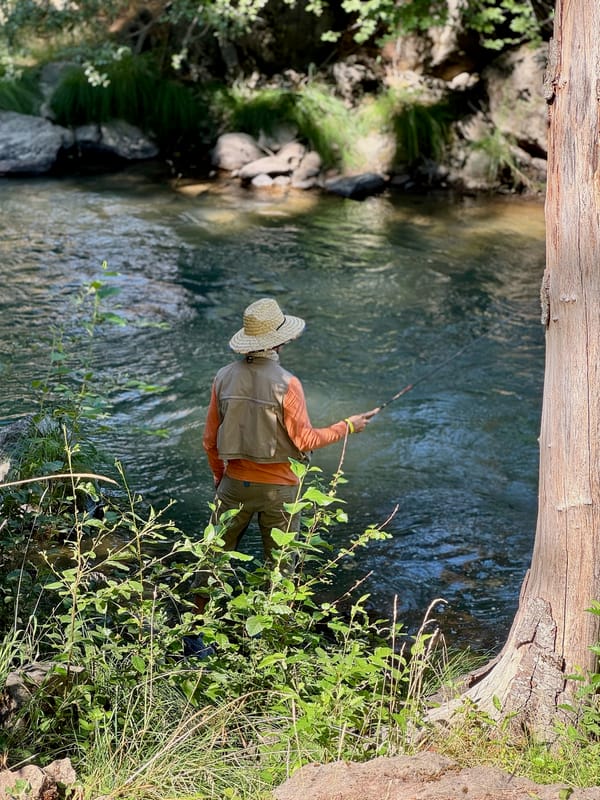 Seeing salmon, seeing snakes, and tying simple flies