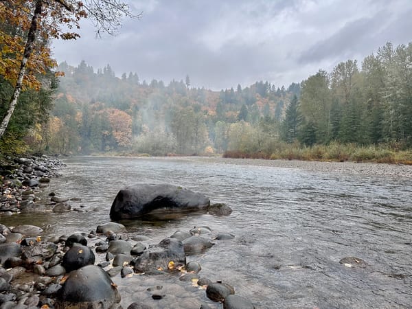 A misty river scene, with a background conifers and dark orange autumnal foliage and large wet rocks in the foreground