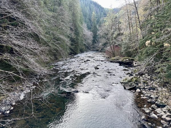 Pacific Northwest river with clear water flowing over rocks through forested canyon in winter