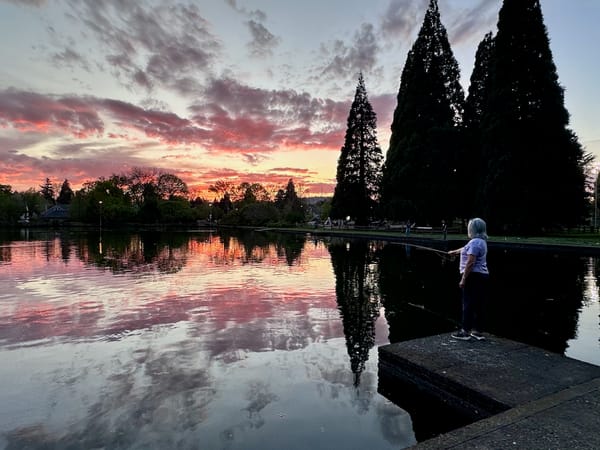 A fly angler casts at sunset on a mirrored artificial casting pond, with conifers in the background
